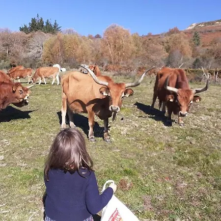 乡村民宿 O Busto Aldea Rural, Horno 2 A Pobra do Brollon