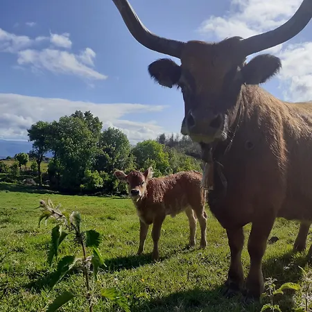 Country house O Busto Aldea Rural, Horno 2 *