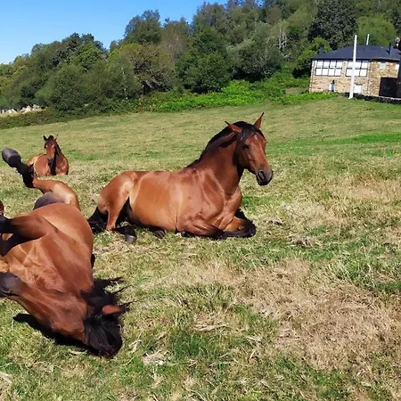Country house O Busto Aldea Rural, Horno 2
