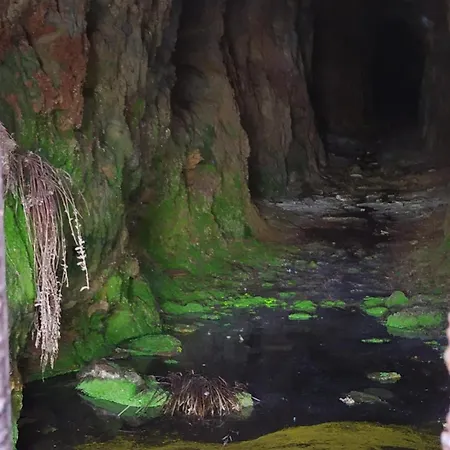 O Busto Aldea Rural, Horno 2 A Pobra do Brollon