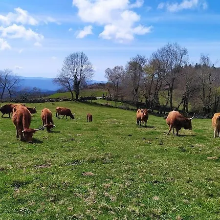 O Busto Aldea Rural, Horno 2 *