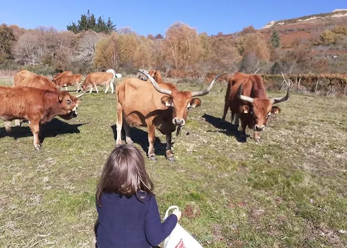 Εξοχικό σπίτι O Busto Aldea Rural, Horno 2 A Pobra do Brollon