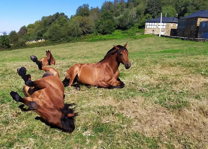 Εξοχικό σπίτι O Busto Aldea Rural, Horno 2