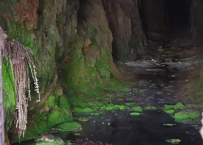 O Busto Aldea Rural, Horno 2 A Pobra do Brollon